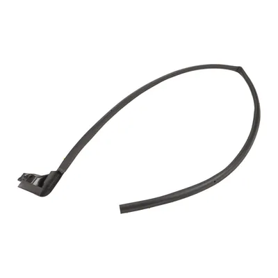 Rear left door seal