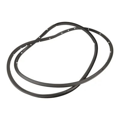 Front left door seal