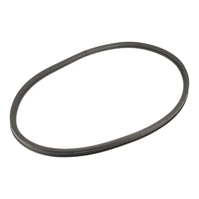 Rear left door seal