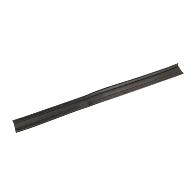 Door seal tailgate