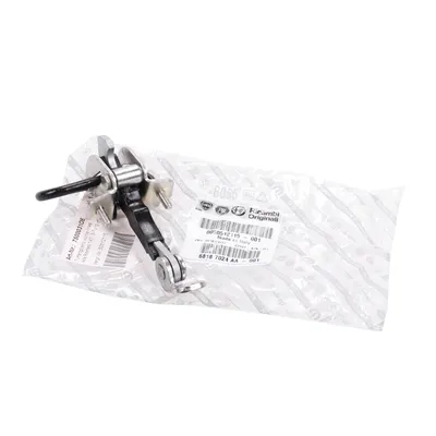 Door catch strap front left