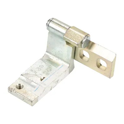 Door hinge rear right