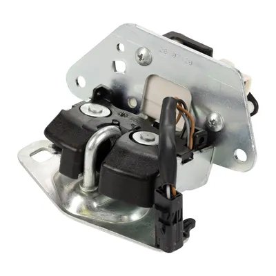 Tailgate lock, trunk lock
