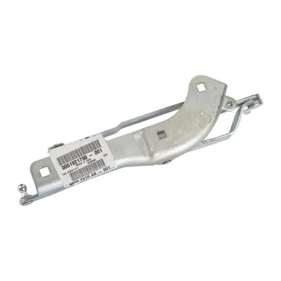 rear door hinge right