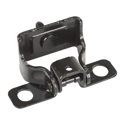 Rear door hinge