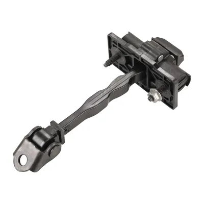 Rear door check strap