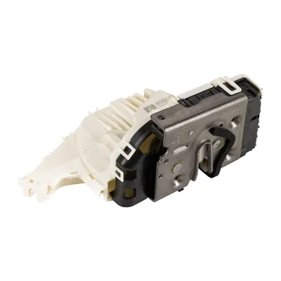 Door lock rear left