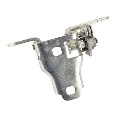 Door hinge front bottom left