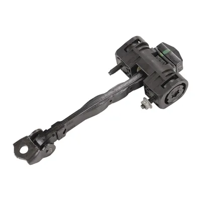 Rear door check strap