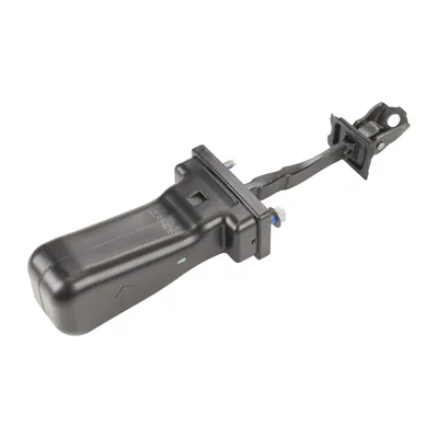 Rear door hinge