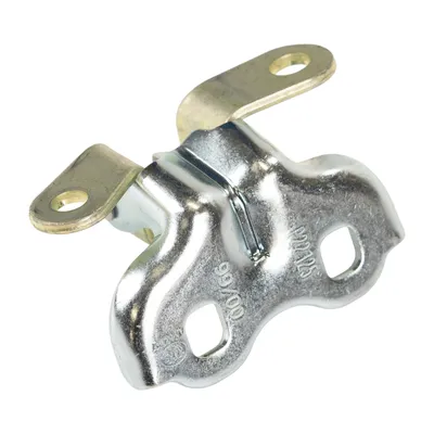 Door hinge front left bottom
