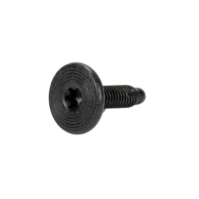 Screw Torx T-30 M6