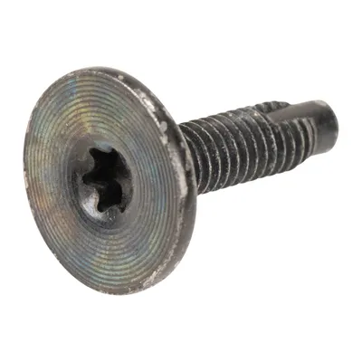 Screw Torx T-30 M6 OE (51810310)
