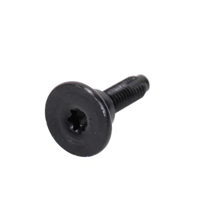 Screw Torx T-30 M6