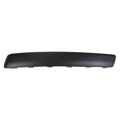 Bumper strip left front bumper