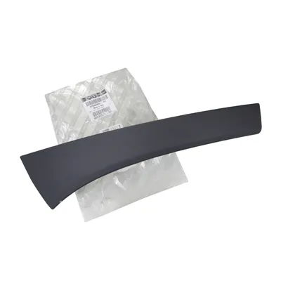 trim strip on the front left