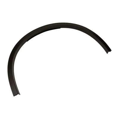 Trim strip on the outside of the front right fender