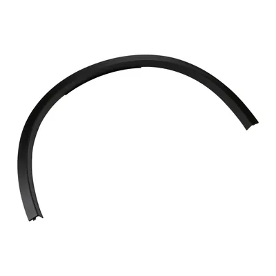 Exterior trim strip on the front left fender