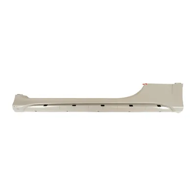Trim strip left side door sill