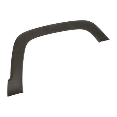 Trim strip on the front right fender