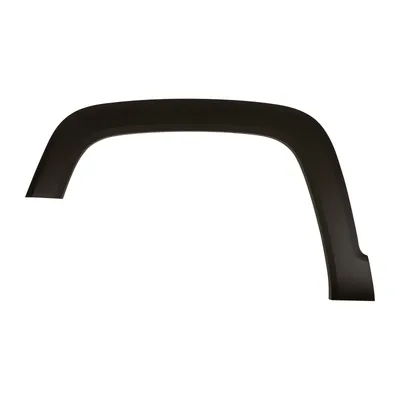 Trim strip on the front left fender