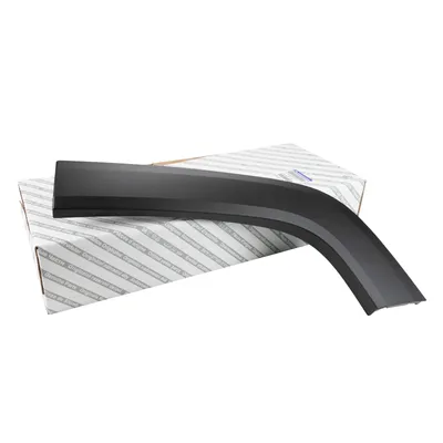 Trim strip on the rear left fender