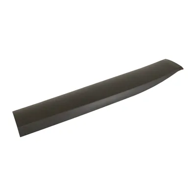 Trim strip on the front left door