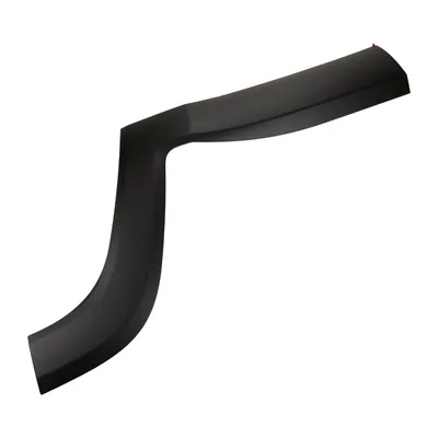 Trim strip on the rear left door