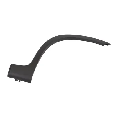 Trim strip on the front fender right