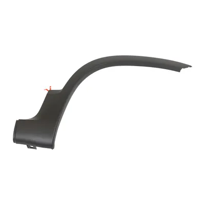 Trim strip on the front fender right