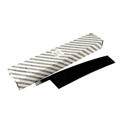 Trim strip outside on the BS ule front left