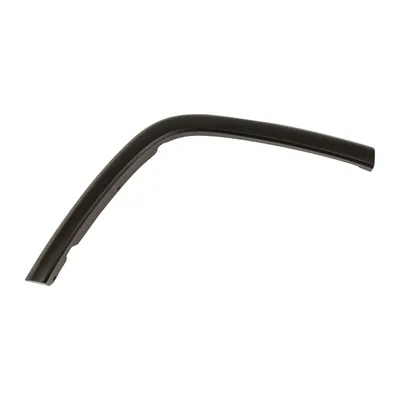 Trim strip over the rear fender right