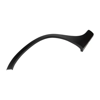 Trim strip on the rear fender right