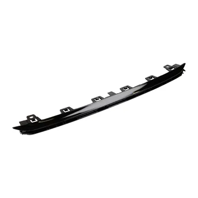 Trim strip PSA OE (98163563XY)