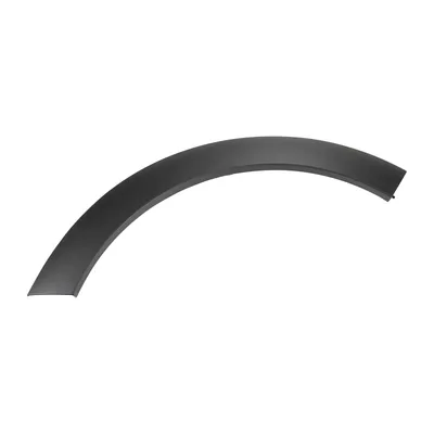 Trim strip fender rear left PSA OE (9812088580)