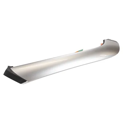Trim strip for the windshield left