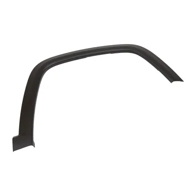 Trim strip on front right fender