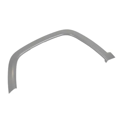 Trim strip on front left fender