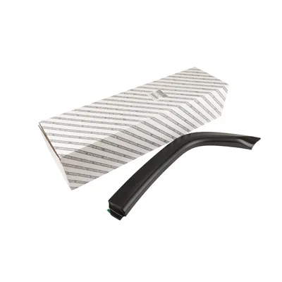 Trim strip left rear