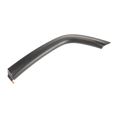 Trim strip on the rear fender left