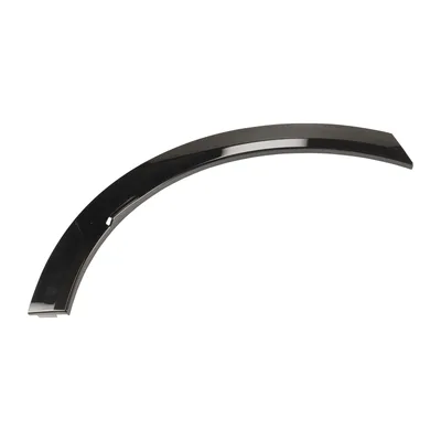 Trim strip rear right