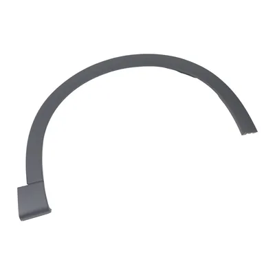 Trim strip on the front right fender