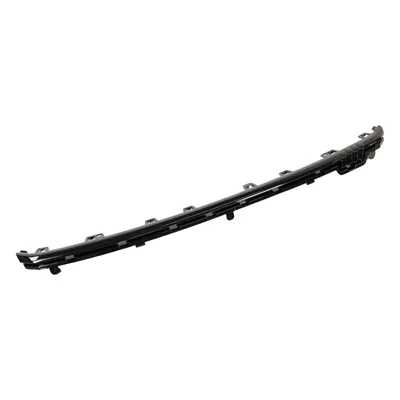 Decorative strip on the front bumper