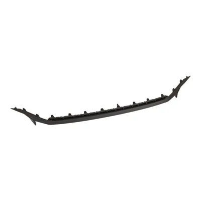 Decorative trim for the front bumper, top