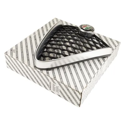 Radiator grille