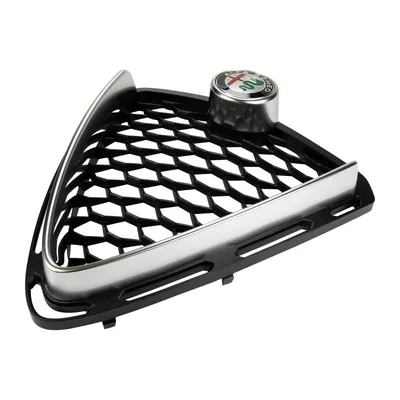 Front radiator grille