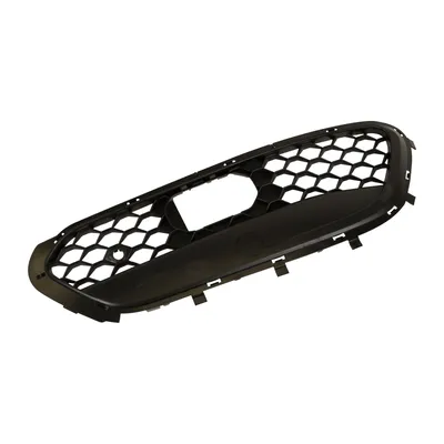 Radiator grille right