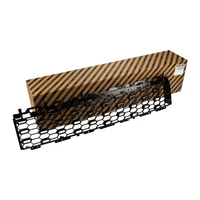 Radiator grille front center