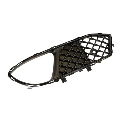 Radiator grille left