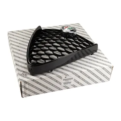 Front radiator grille